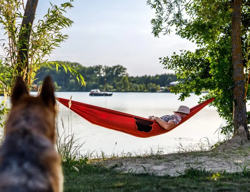 Dřevostavby a Glamping