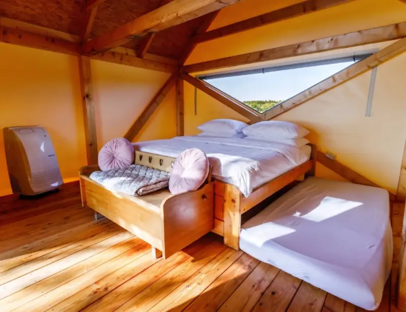 Dřevostavby a Glamping